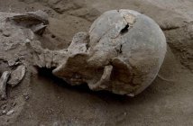 Scientists stumped as 10,000-year-old discovery reveals first ever human massacre