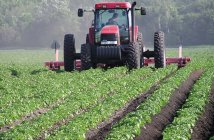 Kazakh farmers to receive state loans for equipment purchases