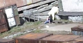 Terrifying moment stunned woman is mauled by polar bear