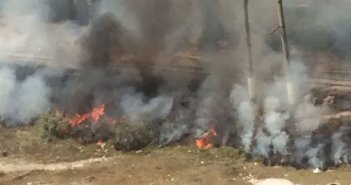 Aeroport yolunda yanğın - Video+Foto