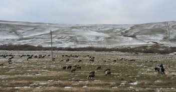 Nə apteki, nə bazarı var...