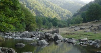 Azərbaycanda 100 min hektarlıq park salınır