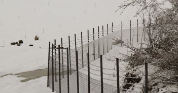 Kənd sakinlərinin torpaqlarını kimlər qanunsuz zəbt edir?