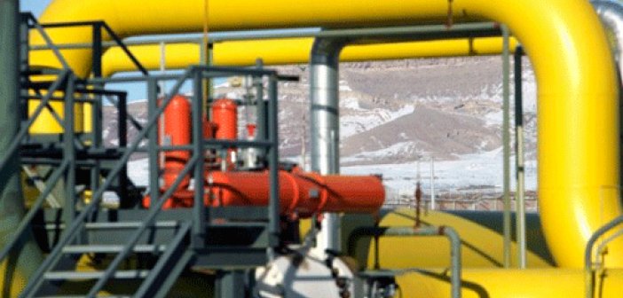 Iran halves gas export to Turkey 