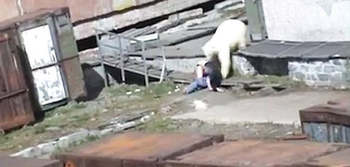 Terrifying moment stunned woman is mauled by polar bear