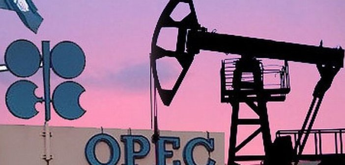 OPEC oil up by $0.89