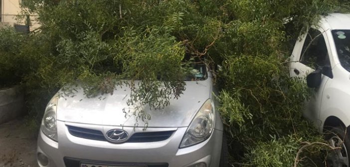 “Zamdekan”ın maşını ağac altında qaldı - Foto