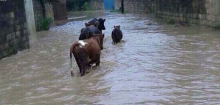 Sel kənd camaatını çətinə salıb