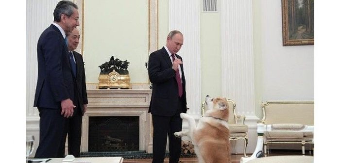 Putindən maraqlı addım - Foto