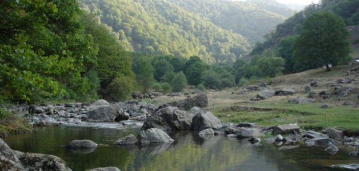 Azərbaycanda 100 min hektarlıq park salınır